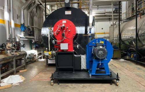 Bruciatori Serie IBSR (EBR)